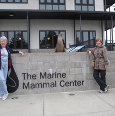 Marine Mammal Center.jpg